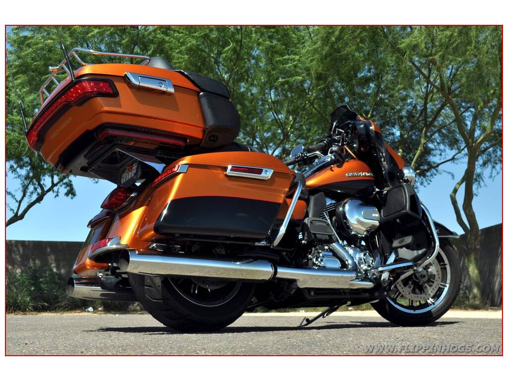 Harley davidson stock options