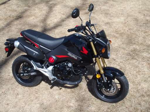 22 2015 Honda Grom Motorcycles For Sale Cycle Trader