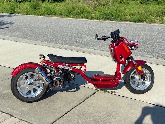 Ice Bear Scooters 