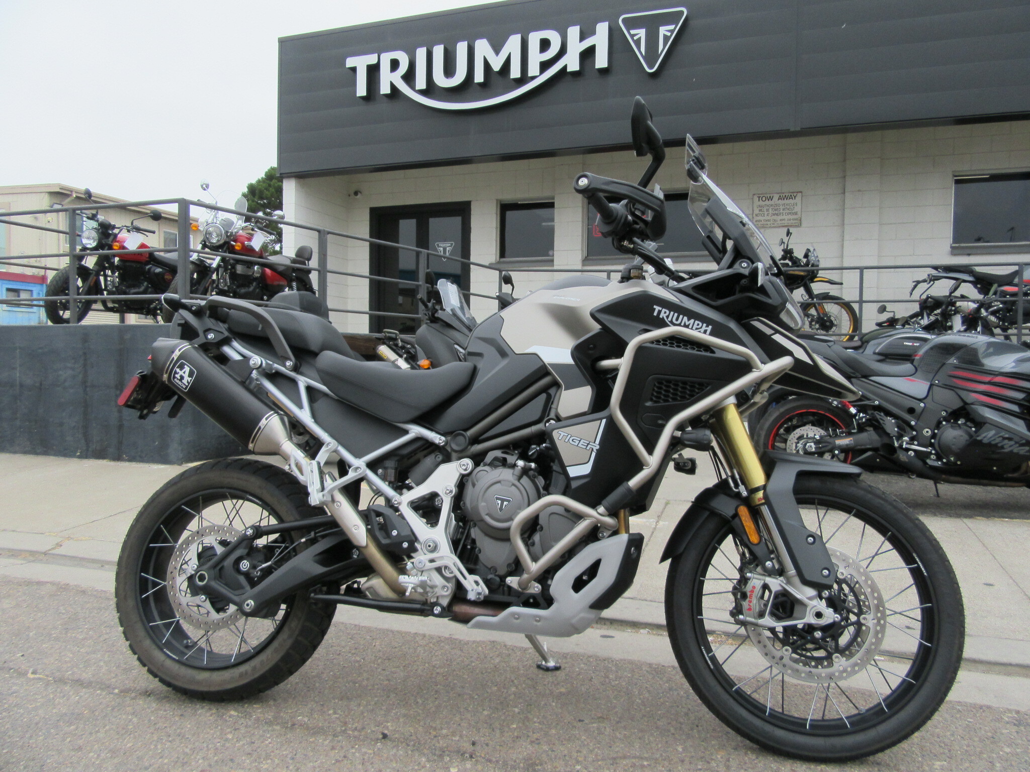2025 TRIUMPH TIGER 1200 RALLY EXPLORER